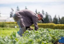 Γιατί έχουν δίκιο οι αγρότες