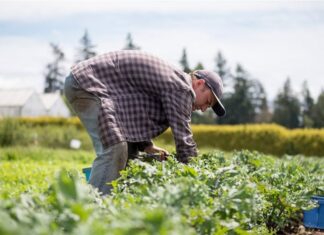 Δυτική Ελλάδα: Τηλεδιάσκεψη για την ολοκλήρωση των Σχεδίων Βελτίωσης του ΠΑΑ