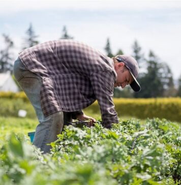 Γιατί έχουν δίκιο οι αγρότες