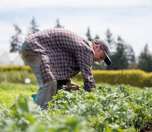Γιατί έχουν δίκιο οι αγρότες