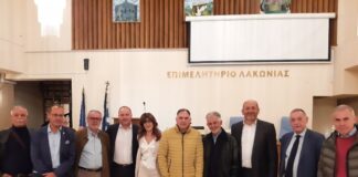 Ελιά Καλαμών : Τρία Επιμελητήρια επιμένουν στην εθνική λύση που θα ικανοποιεί την εξαγωγή του προϊόντος