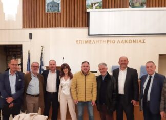 Ελιά Καλαμών : Τρία Επιμελητήρια επιμένουν στην εθνική λύση που θα ικανοποιεί την εξαγωγή του προϊόντος