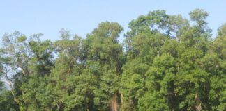 Τρίτη δράση από το «Δίκτυο Παρατριχώνιων Φορέων για τη Φύση και το Πολιτισμό»