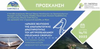 Ημερίδα από τη Μονάδα Διαχείρισης του ΟΦΥΠΕΚΑ για την αναπαραγωγή του Αργυροπελεκάνου