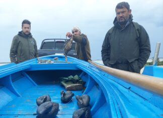 Καταδιώχθηκαν λαθροθήρες στη Θολή