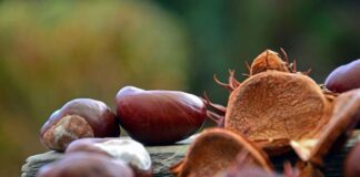 Την Κυριακή η «Γιορτή Κάστανου» στο Άνω Κεράσοβο Αγρινίου