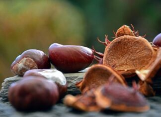 Tην Κυριακή η «Γιορτή Κάστανου» στο Άνω Κεράσοβο