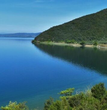 Η αρρώστια της Λίμνης!