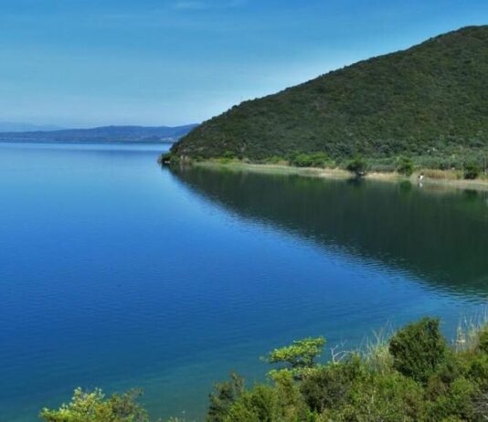 Η αρρώστια της Λίμνης!