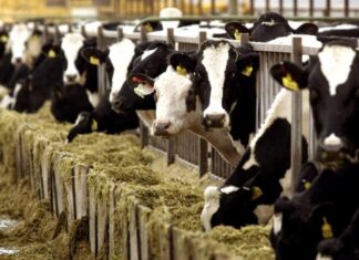 Προς Προανακριτική για ΟΠΕΚΕΠΕ – Ποιος πρώην υπουργός βρίσκεται στο στόχαστρο