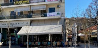 Aντικαταστάθηκαν 10 δέντρα στην πλατεία Δημοκρατίας