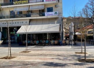 Aντικαταστάθηκαν 10 δέντρα στην πλατεία Δημοκρατίας