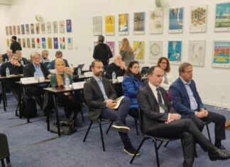 O αντιπεριφερειάρχης Λάμπρος Δημητρογιάννης στη συνεδρίαση του Συμβουλίου της Ευρώπης