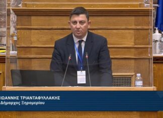 Ο Γιάννης Τριανταφυλλάκης στην Ειδική Μόνιμη Επιτροπή των Περιφερειών