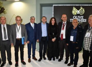 Κερδίζει υποστηρικτές η πρόταση για το Ολυμπιακό Έτος Ελαιολάδου 2024
