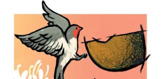 Messolonghi by Locals: Εργαστήριο Χελιδονοφωλιάς για παιδιά 6-12 ετών