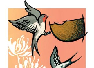 Messolonghi by Locals: Εργαστήριο Χελιδονοφωλιάς για παιδιά 6-12 ετών