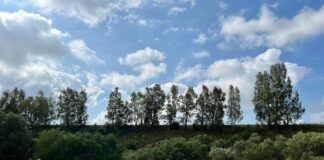 Η “Ελένη” από το 7ο Γυμνάσιο Αγρινίου