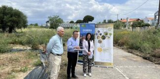 Συνεργασία μεταξύ Σλοβενίας και Ελλάδας για τους επικονιαστές και τη μελισσοκομία