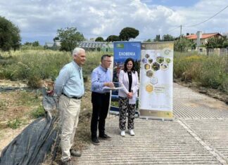 Συνεργασία μεταξύ Σλοβενίας και Ελλάδας για τους επικονιαστές και τη μελισσοκομία