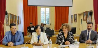 6η «Ελαία»: Η ελιά και οι προοπτικές της στο επίκεντρο