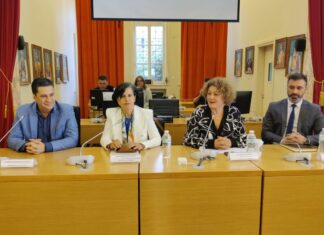 6η «Ελαία»: Η ελιά και οι προοπτικές της στο επίκεντρο