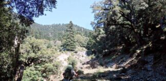 Μονοπάτια:1,7 εκατ. στην Αιτωλοακαρνανία από το Ταμείο Ανάκαμψης – 124 χλμ στο Παναιτωλικό Όρος