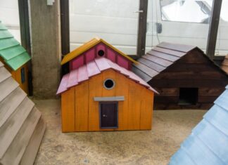 Πρωτοβουλία της Κίνησης «Δρω» και του Sokoro Design τα δεντρόσπιτα στο πάρκο