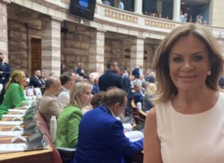 Δύο πόστα η Σταρακά στη «σκιώδη κυβέρνηση» Ανδρουλάκη