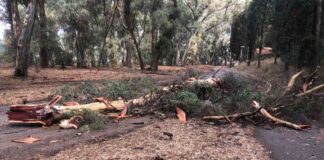 Μικροπροβλήματα σε Βόνιτσα και Πάλαιρο από το μπουρίνι