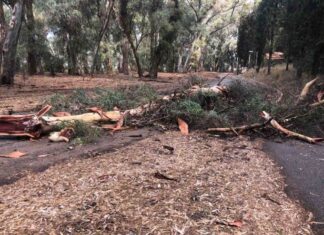 Μικροπροβλήματα σε Βόνιτσα και Πάλαιρο από το μπουρίνι