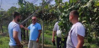 Περιοδεία Παπαναστάση στις πληγείσες καλλιέργειες