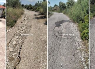 «Πίσσα και πούπουλα»