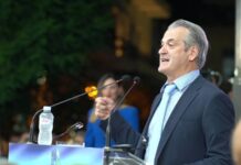 Συμφωνεί και ο Πιστιόλας ότι η επιλογή Παπαναστασίου στο ΔΗΠΕΘΕ είναι αναντικατάστατη