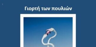 Έκθεση φωτογραφίας του Βασίλη Αρτίκου στο κτίριο Χρυσόγελου