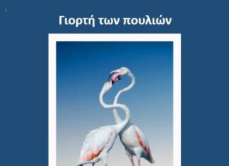 Έκθεση φωτογραφίας του Βασίλη Αρτίκου στο κτίριο Χρυσόγελου