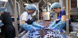 Επαγγελματίες από ΗΠΑ και Ηνωμένο Βασίλειο σε Αιτωλοακαρνανία και Ηλεία