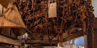 Το υλικό του ψηφιακού Μουσείου Καπνού Αγρινίου σε ερευνητικό έργο