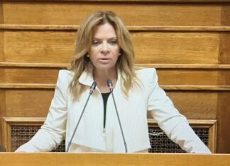 Σταρακά: Η κυβέρνηση μοίρασε τον ηλεκτρικό χώρο σε ιδιωτικά έργα – Στον αέρα η ενεργειακή κοινότητα της Δυτικής Ελλάδας