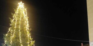 Δήμος Μεσολογγίου: Άναψαν τα χριστουγεννιάτικα δέντρα σε Αιτωλικό, Νεοχώρι και Κατοχή