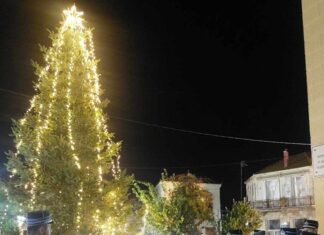 Δήμος Μεσολογγίου: Άναψαν τα χριστουγεννιάτικα δέντρα σε Αιτωλικό, Νεοχώρι και Κατοχή