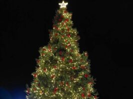 Το Σάββατο η φωταγώγηση του χριστουγεννιάτικου δέντρου στην πλατεία εργατικών κατοικιών Ρηγανά