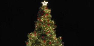 Φωταγωγήθηκε το χριστουγεννιάτικο δέντρο στο Μεσολόγγι