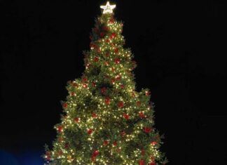 Το Σάββατο η φωταγώγηση του χριστουγεννιάτικου δέντρου στην πλατεία εργατικών κατοικιών Ρηγανά