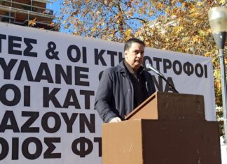 Ο Κ. Πιστιόλας για την παρουσία Παπαναστασίου στο συλλαλητήριο των αγροτών: Η θεατρικότητα δεν αλλάζει την πραγματικότητα!