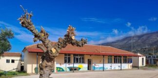 Παρεμβάσεις στο Δημοτικό Σχολείο Ρίβιου από το πρόγραμμα ανέργων 55-67 του ΟΑΕΔ