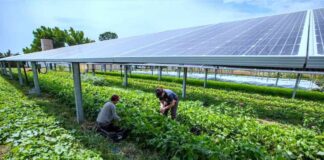 Δήμος Ξηρομέρου : Πρόταση στο Interreg για την προώθηση των αγρο-φωτοβολταϊκών