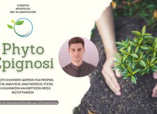 PhytoEpignosi : Η πρώτη Ελληνική δωρεάν πλατφόρμα που οι αγρότες μπορούν να ελέγξουν την τυπική υγεία των καλλιεργειών τους!