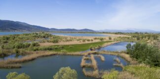 «Υγρότοποι και ανθρώπινη ευημερία» γιορτάζεται φέτος η Παγκόσμια Ημέρα Υγροτόπων