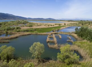 «Υγρότοποι και ανθρώπινη ευημερία» γιορτάζεται φέτος η Παγκόσμια Ημέρα Υγροτόπων